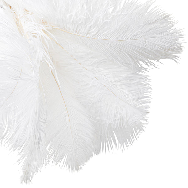 Ostrich Feathers 16"-18" (10 pcs) - White