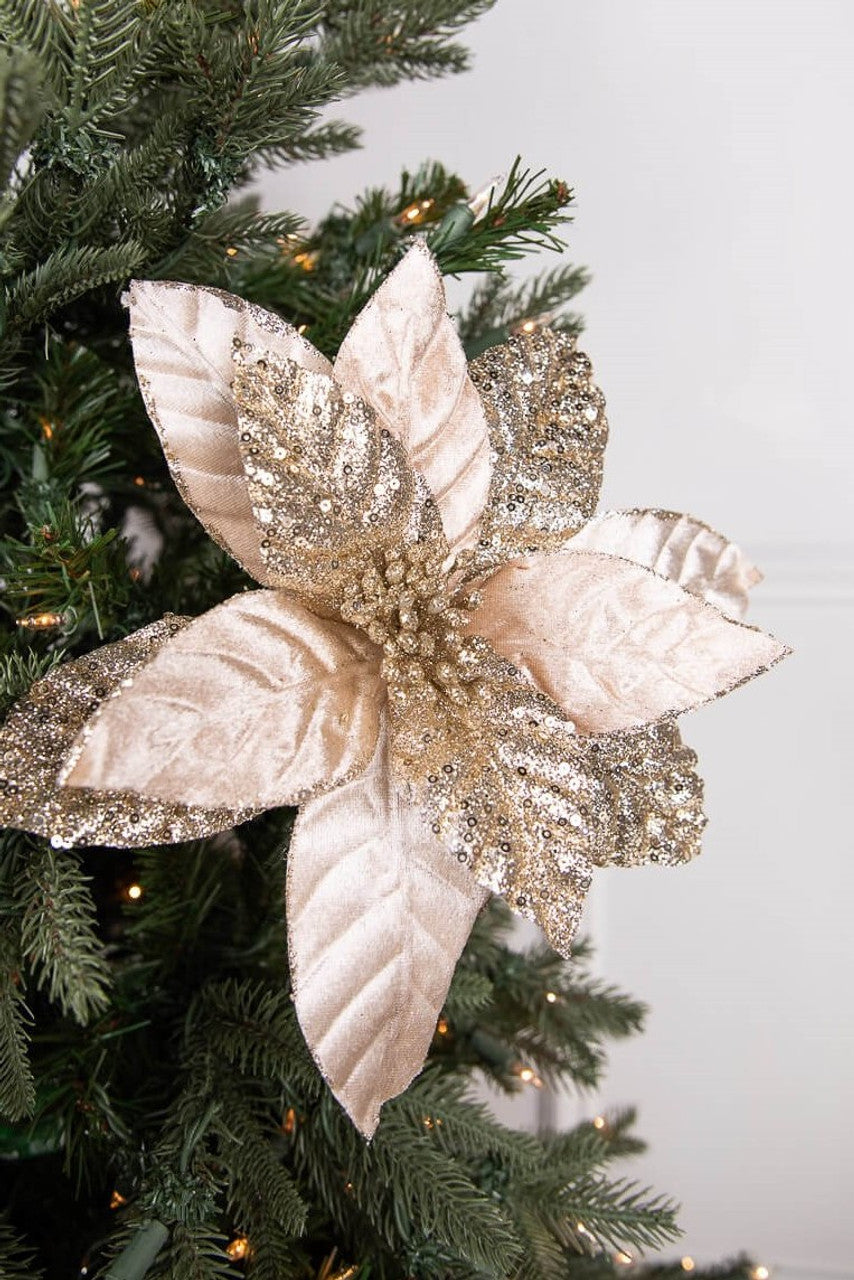 24” Champagne Glitter Poinsettia