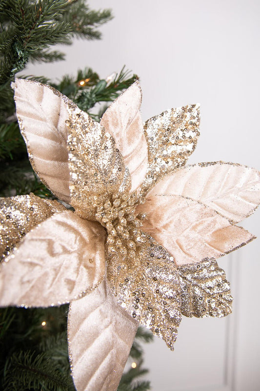 24” Champagne Glitter Poinsettia