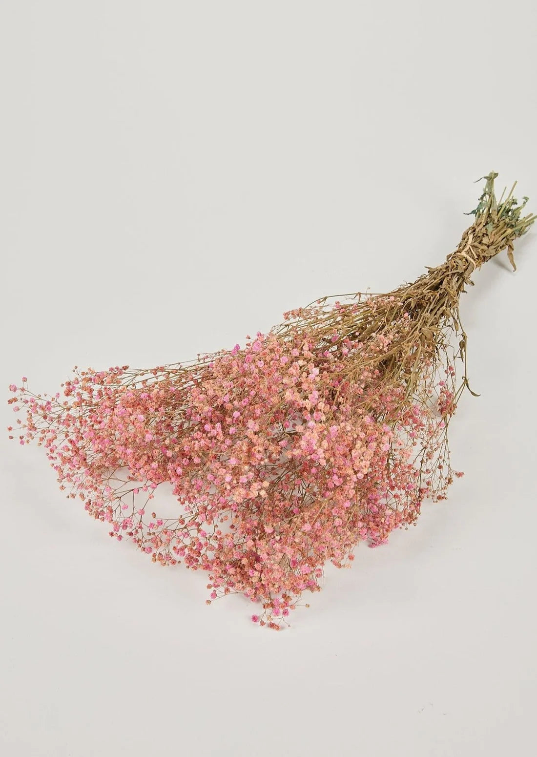 Pink Preserved Gypsophila Flower Bundle - 23-28.5"