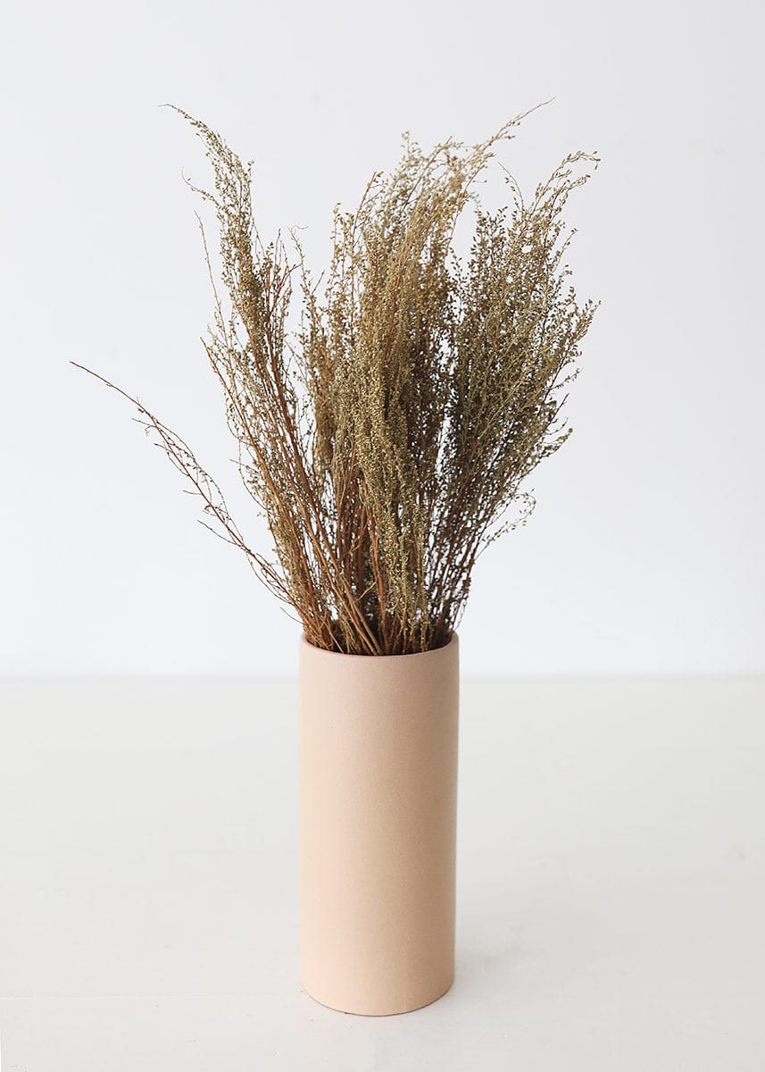 Natural Solidago Goldenrod Dried Flowers - 12-20"