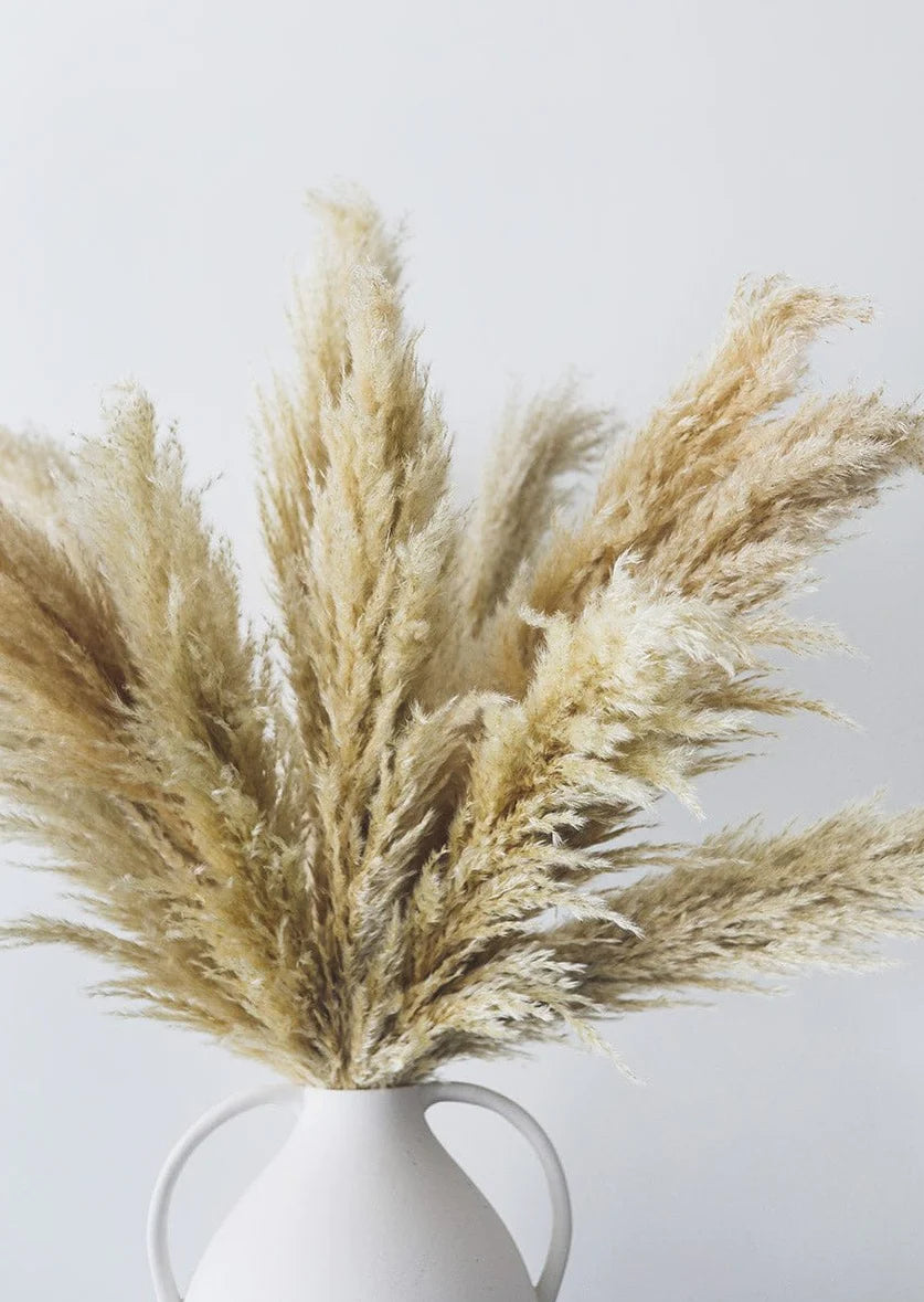 Bundle of 3 Dried Natural Pampas Grass - 40-48"