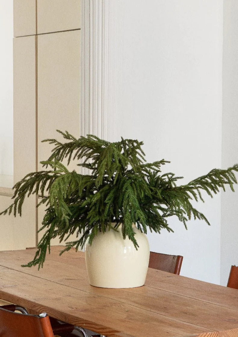 Real Touch Norfolk Pine Branch - 36"