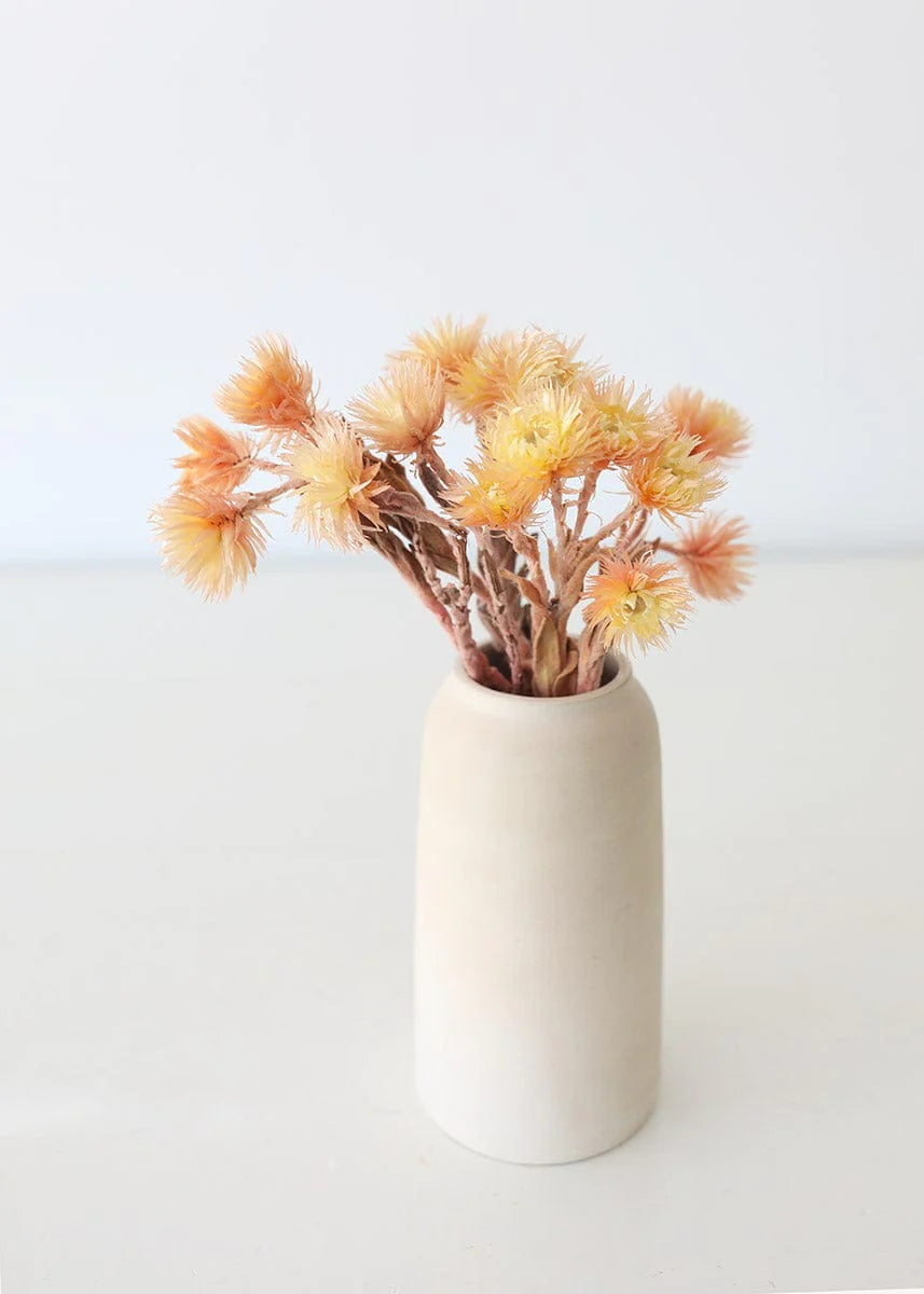 Dried Peach Silver Daisy Flowers - 10-13"