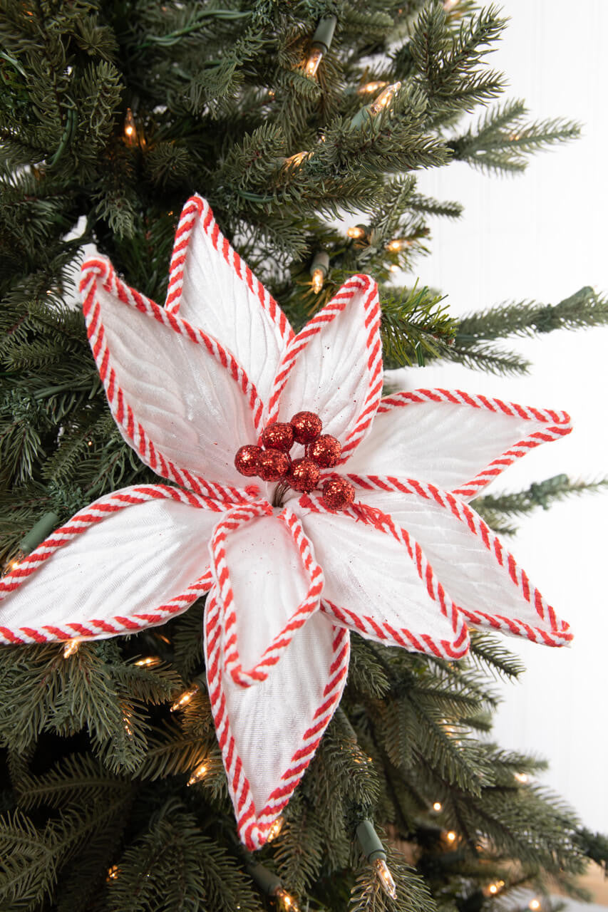 24” White with Peppermint Stripes Poinsettia