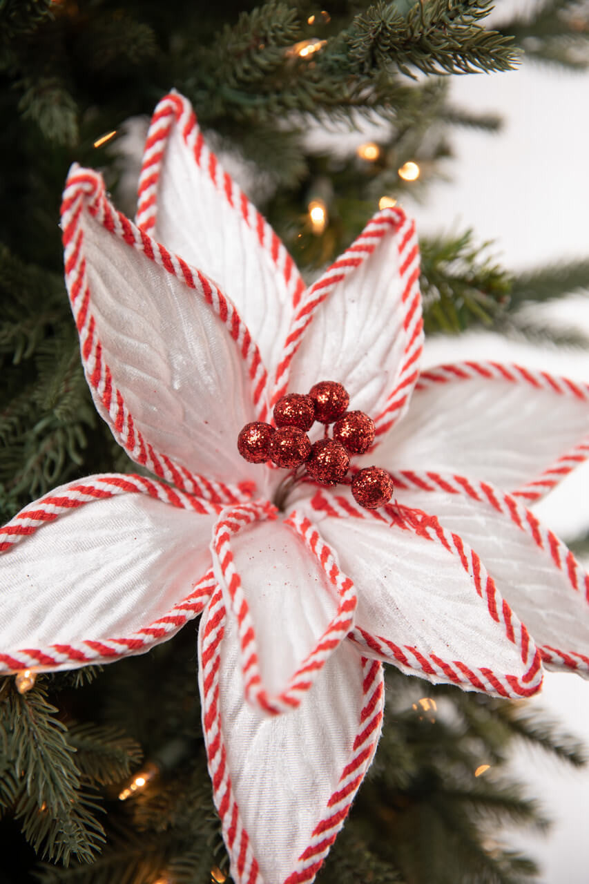 24” White with Peppermint Stripes Poinsettia