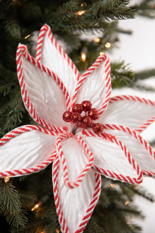 24” White with Peppermint Stripes Poinsettia
