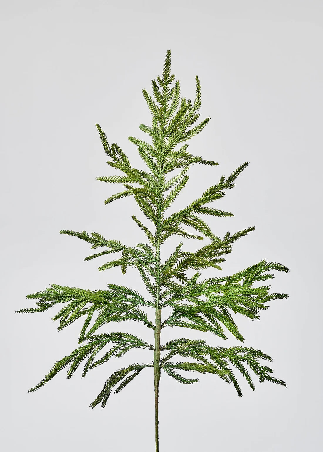 Real Touch Norfolk Pine Branch - 36"