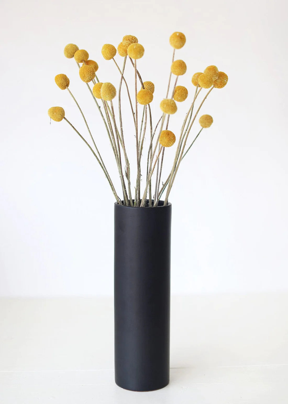 Bundle of 25 Dried Craspedia Billy Buttons - 18-26"