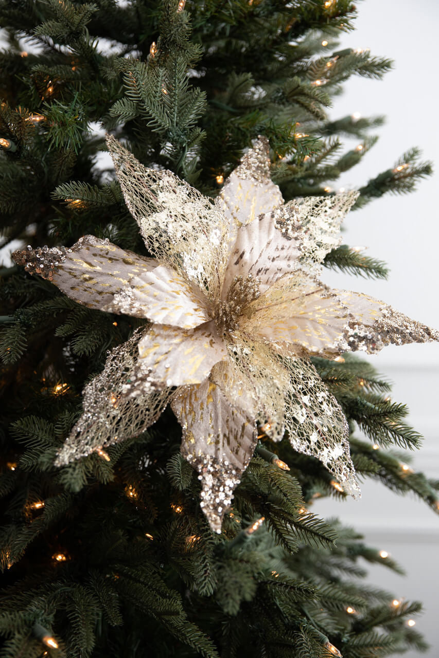 22” Velvet Sheer Poinsettia Stem - Champagne