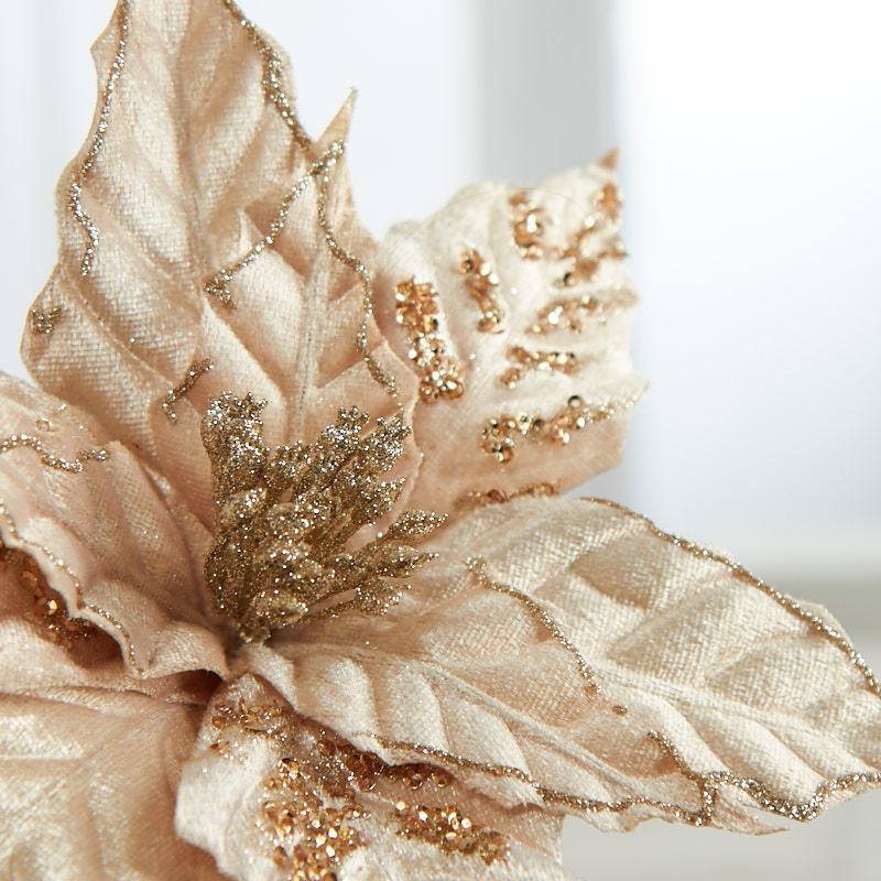 Set of Two Champagne Velvet Poinsettia Stem