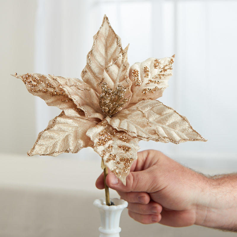 Set of Two Champagne Velvet Poinsettia Stem