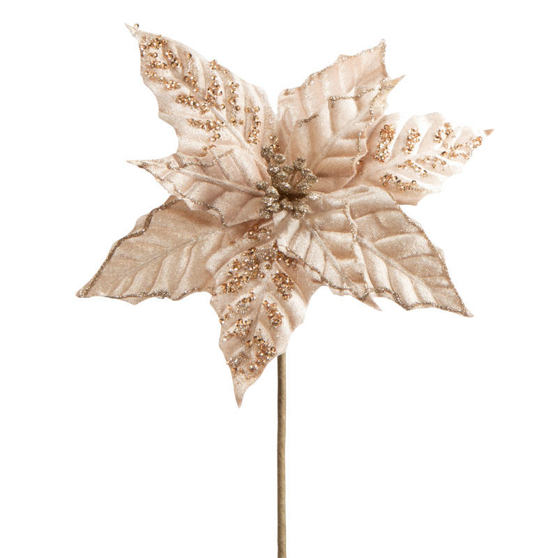 Set of Two Champagne Velvet Poinsettia Stem