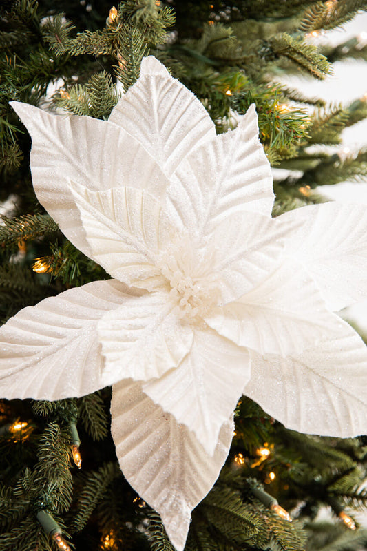 24” Cream Striped Poinsettia Stem