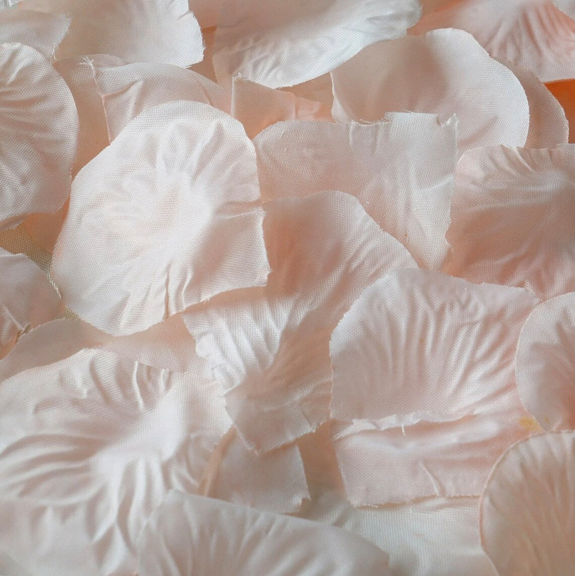 5,000 Blush Pink Flower Petals