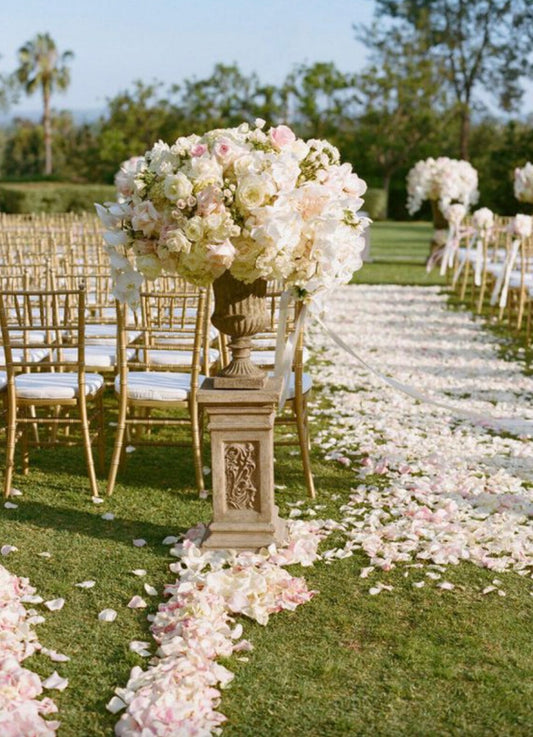 5,000 Blush Pink Flower Petals