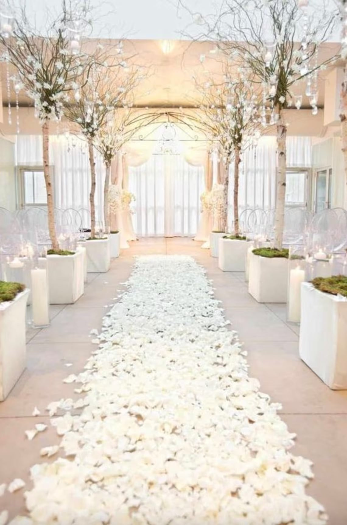 5,000 Ivory Flower Petals