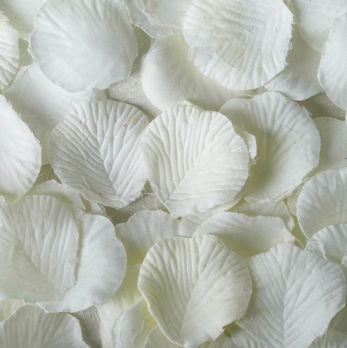 5,000 Ivory Flower Petals