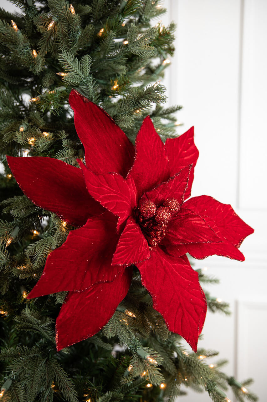 30” Red Display Poinsettia Stem
