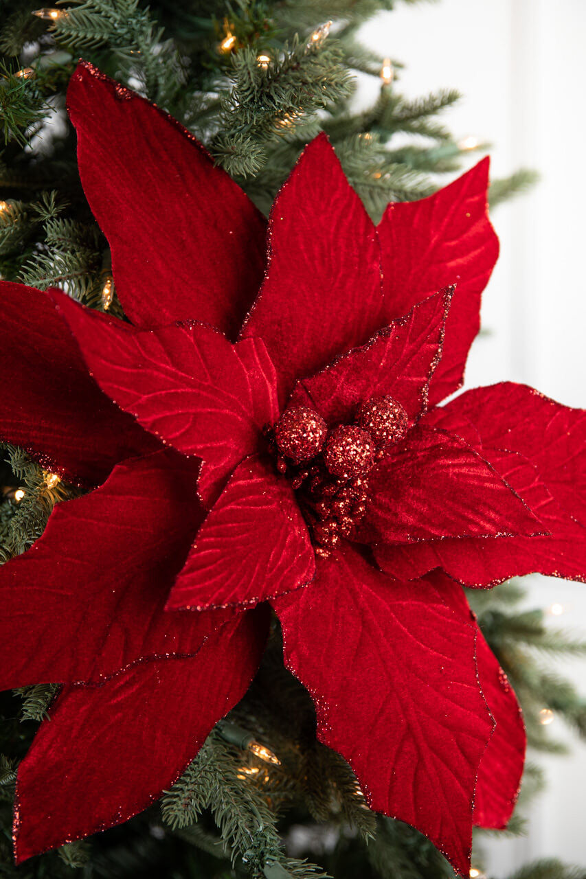 30” Red Display Poinsettia Stem