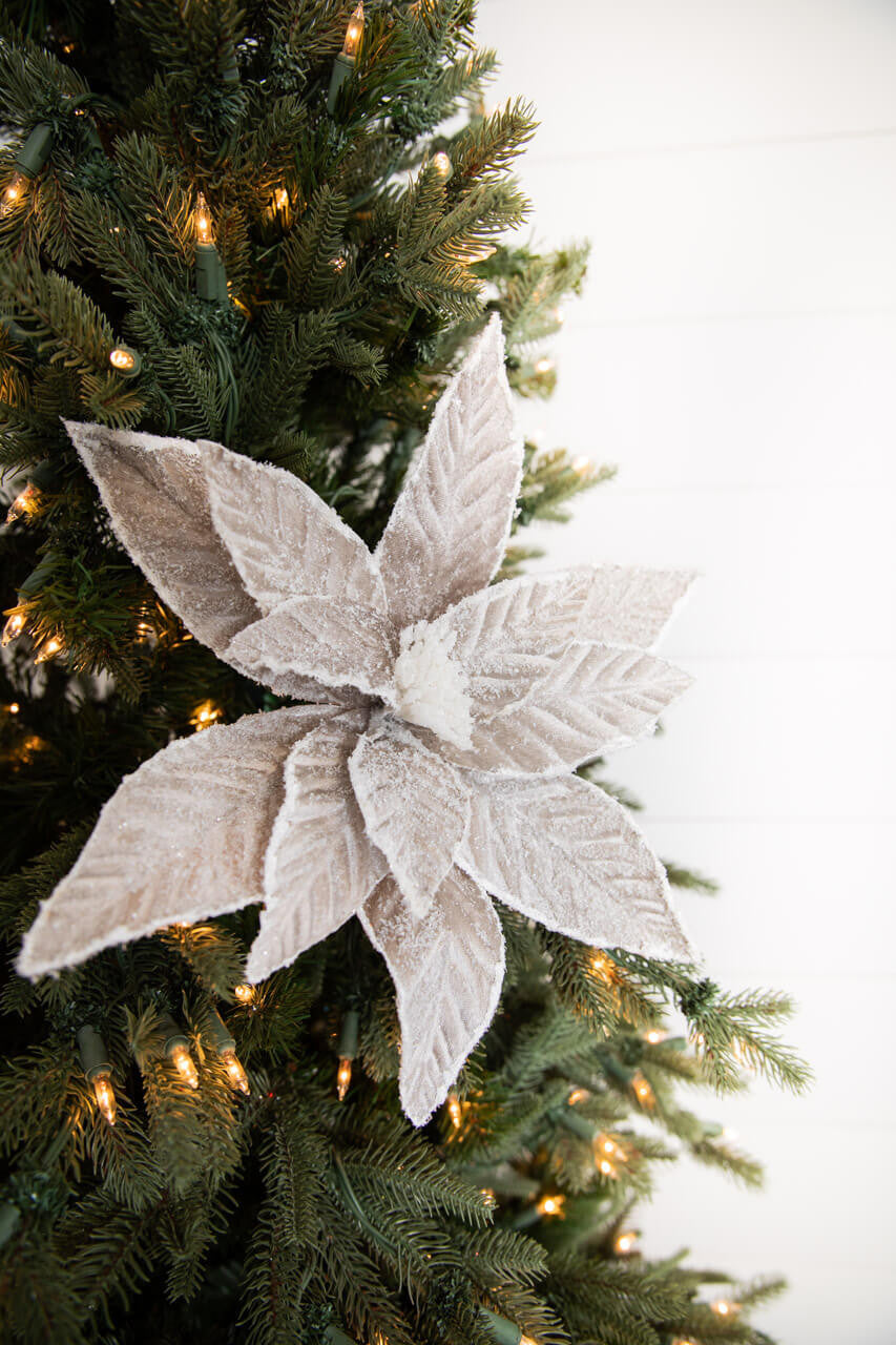 22” Taupe Sugar Poinsettia Stem