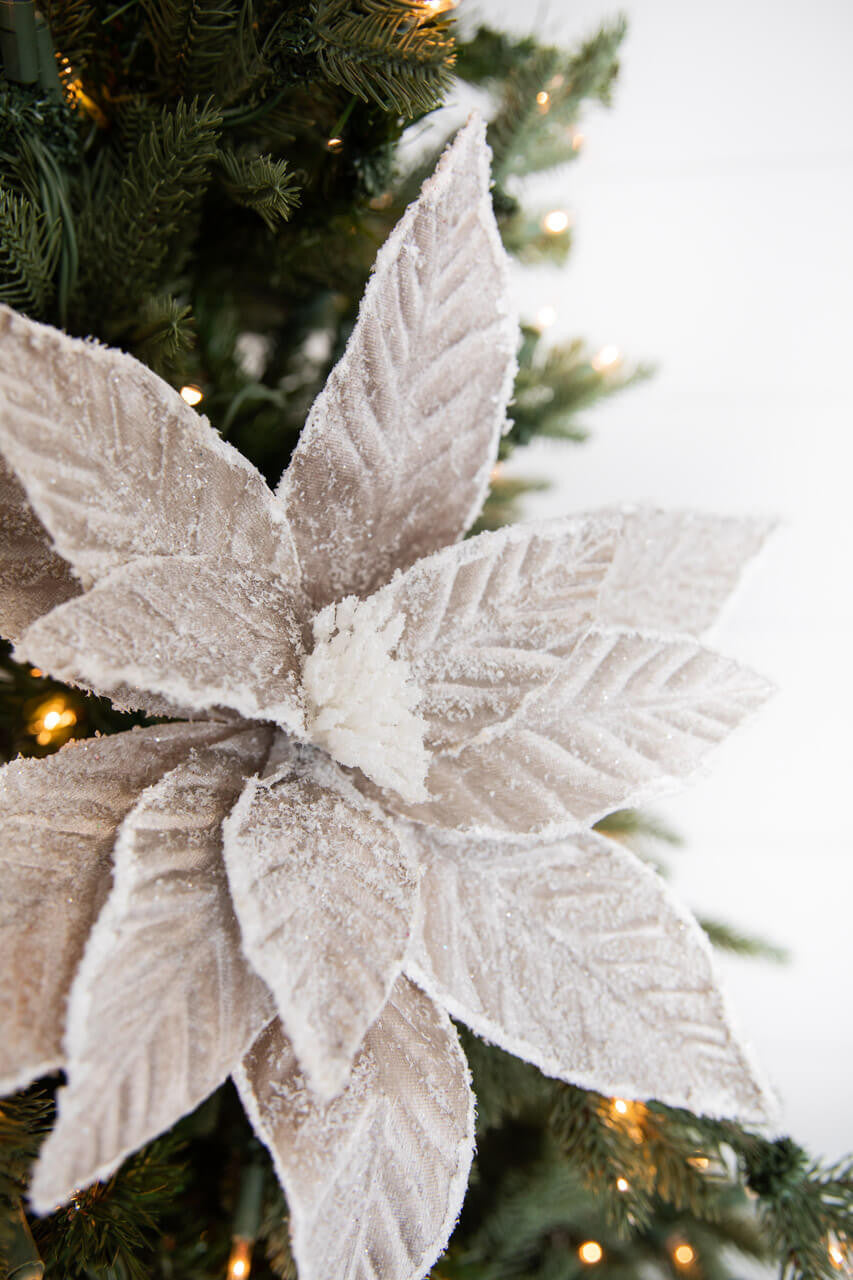 22” Taupe Sugar Poinsettia Stem