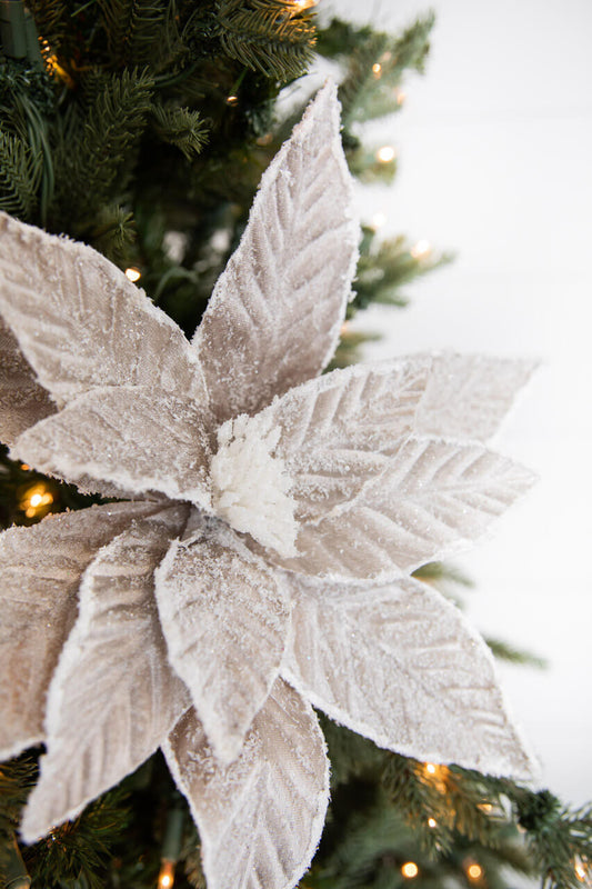 22” Taupe Sugar Poinsettia Stem