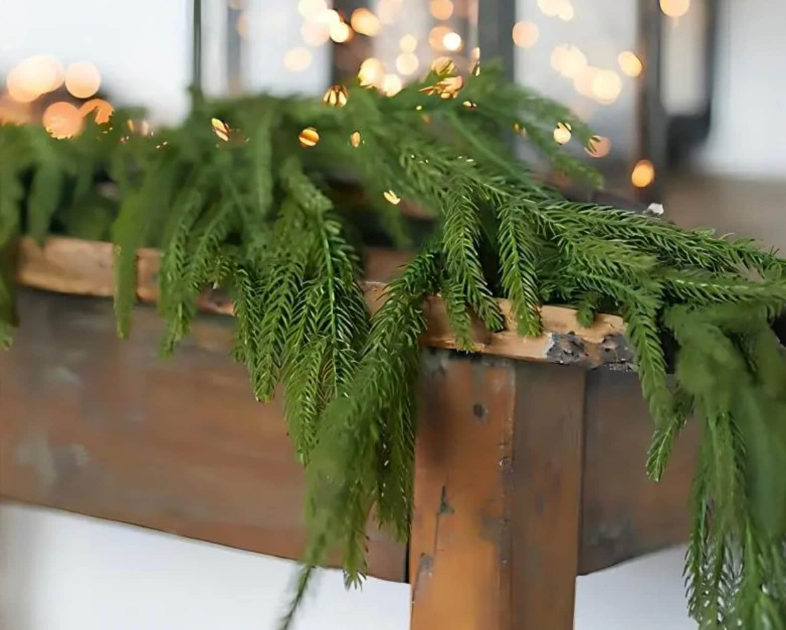 16 FT. Norfolk Pine Christmas Garland, Farmhouse Decor, Primitive Garlands, Holiday Decor, Mantle Fireplace Garland, Realistic Pine Garland